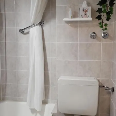 Appartement Mit Balkon Am Rhein