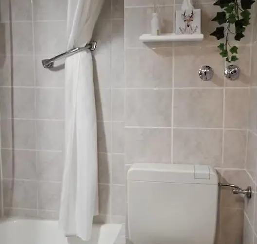 アパート Mit Balkon Am Rhein コブレンツ